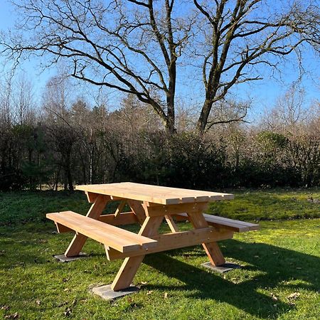 Vakantiehuis Eikzicht Gelegen Aan Het Bos Elsloo  Экстерьер фото