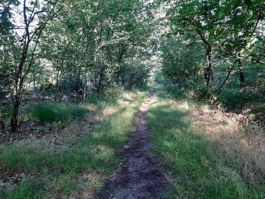 Vakantiehuis Eikzicht Gelegen Aan Het Bos Elsloo  Экстерьер фото
