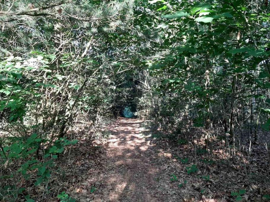 Vakantiehuis Eikzicht Gelegen Aan Het Bos Elsloo  Экстерьер фото
