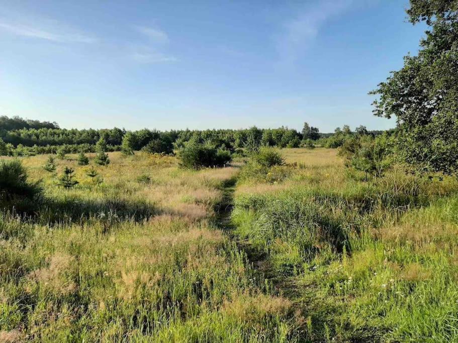 Vakantiehuis Eikzicht Gelegen Aan Het Bos Elsloo  Экстерьер фото
