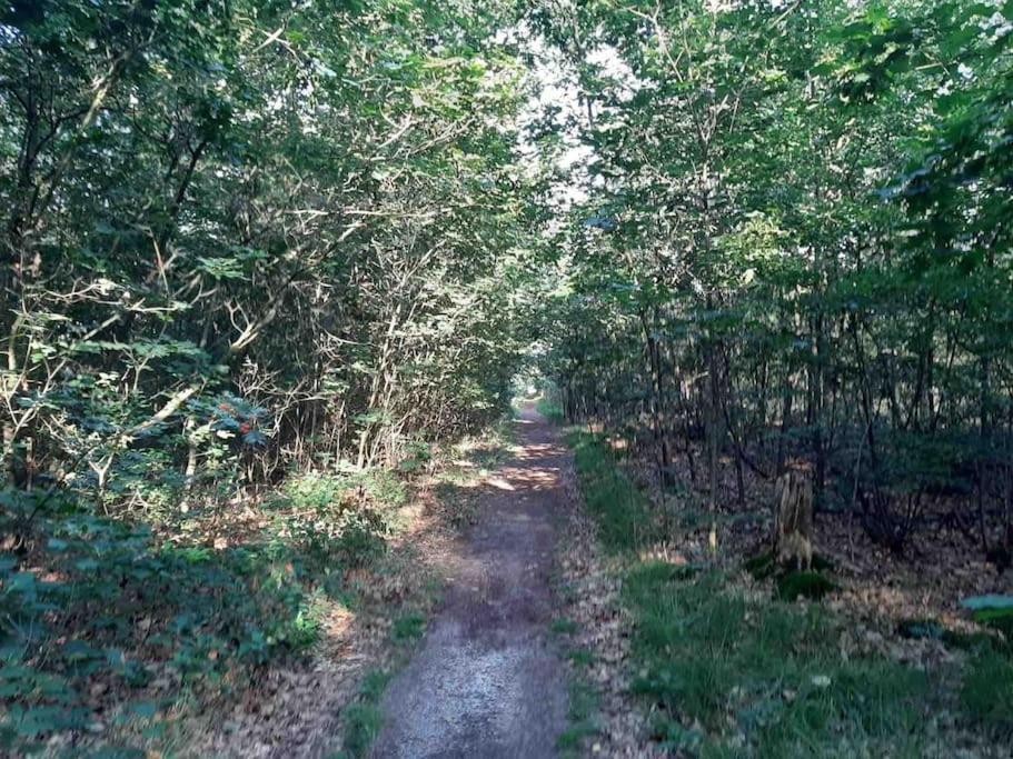 Vakantiehuis Eikzicht Gelegen Aan Het Bos Elsloo  Экстерьер фото